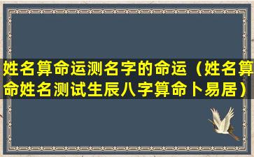 姓名算命运测名字的命运（姓名算命姓名测试生辰八字算命卜易居）