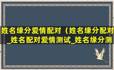 姓名缘分爱情配对（姓名缘分配对_姓名配对爱情测试_姓名缘分测试两人关系）