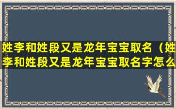 姓李和姓段又是龙年宝宝取名（姓李和姓段又是龙年宝宝取名字怎么取）