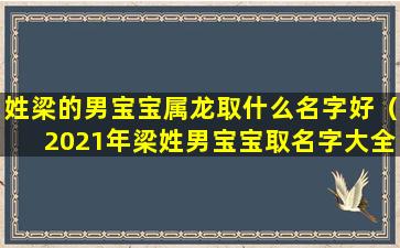 姓梁的男宝宝属龙取什么名字好（2021年梁姓男宝宝取名字大全免费）