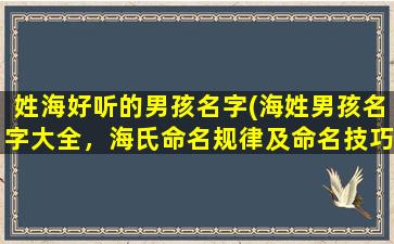 姓海好听的男孩名字(海姓男孩名字大全，海氏命名规律及命名技巧)