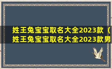 姓王兔宝宝取名大全2023款（姓王兔宝宝取名大全2023款男孩）