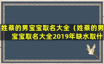 姓蔡的男宝宝取名大全（姓蔡的男宝宝取名大全2019年缺水取什么名）