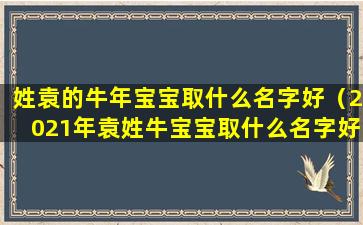 姓袁的牛年宝宝取什么名字好（2021年袁姓牛宝宝取什么名字好）