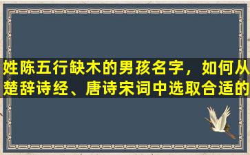 姓陈五行缺木的男孩名字，如何从楚辞诗经、唐诗宋词中选取合适的字词