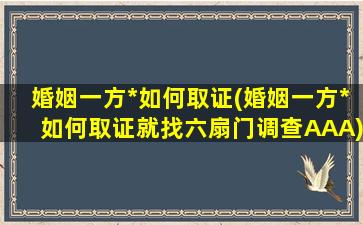 婚姻一方*如何取证(婚姻一方*如何取证就找六扇门调查AAA)