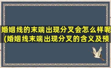 婚姻线的末端出现分叉会怎么样呢(婚姻线末端出现分叉的含义及预示不好的婚姻危机)