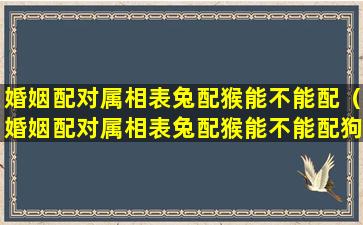 婚姻配对属相表兔配猴能不能配（婚姻配对属相表兔配猴能不能配狗）