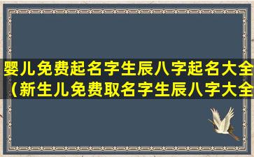 婴儿免费起名字生辰八字起名大全（新生儿免费取名字生辰八字大全免费）