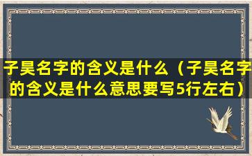 子昊名字的含义是什么（子昊名字的含义是什么意思要写5行左右）