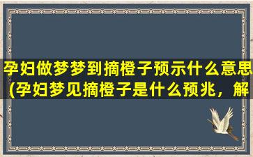 孕妇做梦梦到摘橙子预示什么意思(孕妇梦见摘橙子是什么预兆，解析梦境中的隐含意义)