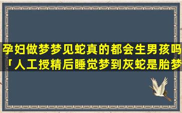 孕妇做梦梦见蛇真的都会生男孩吗「人工授精后睡觉梦到灰蛇是胎梦吗」