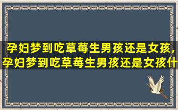 孕妇梦到吃草莓生男孩还是女孩,孕妇梦到吃草莓生男孩还是女孩什么意思