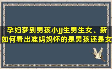 孕妇梦到男孩小JJ生男生女、新如何看出准妈妈怀的是男孩还是女孩呢