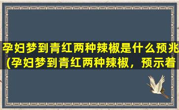 孕妇梦到青红两种辣椒是什么预兆(孕妇梦到青红两种辣椒，预示着什么？)