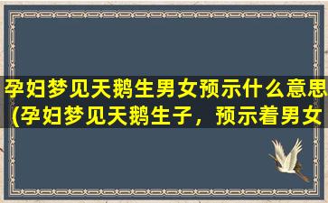 孕妇梦见天鹅生男女预示什么意思(孕妇梦见天鹅生子，预示着男女双全的好兆头！)