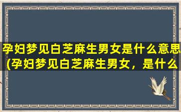 孕妇梦见白芝麻生男女是什么意思(孕妇梦见白芝麻生男女，是什么寓意？)