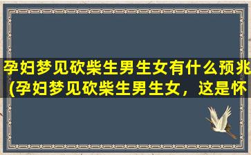 孕妇梦见砍柴生男生女有什么预兆(孕妇梦见砍柴生男生女，这是怀孕后期的预兆吗？)