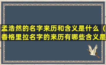 孟浩然的名字来历和含义是什么（香格里拉名字的来历有哪些含义是什么）