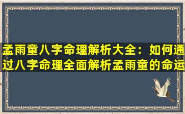 孟雨童八字命理解析大全：如何通过八字命理全面解析孟雨童的命运与性格