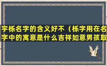 宇栎名字的含义好不（栎字用在名字中的寓意是什么吉祥如意男孩取名首选）