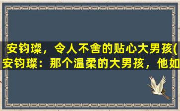 安钧璨，令人不舍的贴心大男孩(安钧璨：那个温柔的大男孩，他如何赢得人心？)