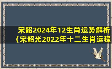 宋韶2024年12生肖运势解析（宋韶光2022年十二生肖运程每月运势）