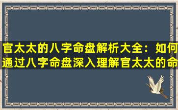 官太太的八字命盘解析大全：如何通过八字命盘深入理解官太太的命运与性格