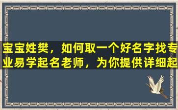 宝宝姓樊，如何取一个好名字找专业易学起名老师，为你提供详细起名报告书！