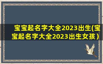 宝宝起名字大全2023出生(宝宝起名字大全2023出生女孩）