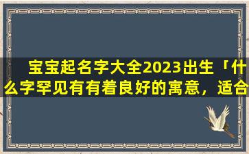 宝宝起名字大全2023出生「什么字罕见有有着良好的寓意，适合取名字」