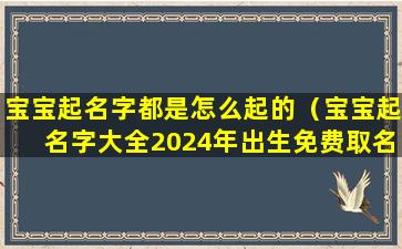 宝宝起名字都是怎么起的（宝宝起名字大全2024年出生免费取名）