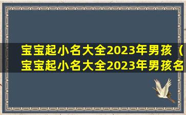 宝宝起小名大全2023年男孩（宝宝起小名大全2023年男孩名字）