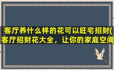 客厅养什么样的花可以旺宅招财(客厅招财花大全，让你的家庭空间焕发好运！)