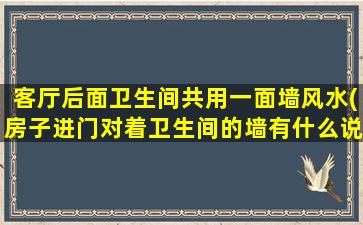 客厅后面卫生间共用一面墙风水(房子进门对着卫生间的墙有什么说法)