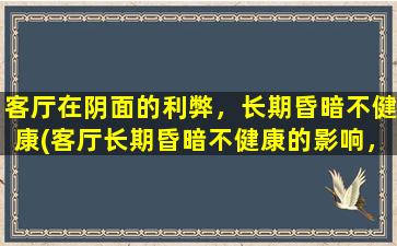 客厅在阴面的利弊，长期昏暗不健康(客厅长期昏暗不健康的影响，如何改善？)