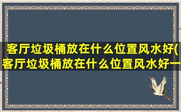 客厅垃圾桶放在什么位置风水好(客厅垃圾桶放在什么位置风水好一点)