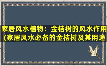 家居风水植物：金桔树的风水作用(家居风水必备的金桔树及其用途)