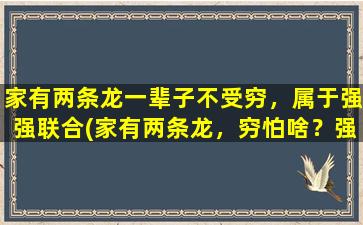 家有两条龙一辈子不受穷，属于强强联合(家有两条龙，穷怕啥？强强联合，财运旺盛！)