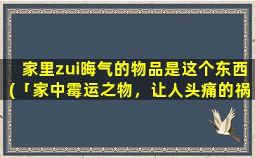 家里zui晦气的物品是这个东西(「家中霉运之物，让人头痛的祸首」)