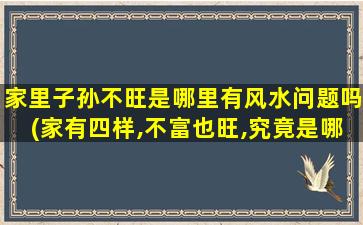 家里子孙不旺是哪里有风水问题吗(家有四样,不富也旺,究竟是哪四样)