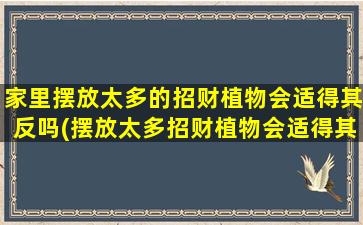 家里摆放太多的招财植物会适得其反吗(摆放太多招财植物会适得其反，小心“财”变“烦”)