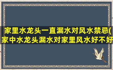 家里水龙头一直漏水对风水禁忌(家中水龙头漏水对家里风水好不好)