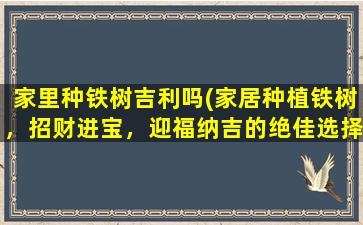 家里种铁树吉利吗(家居种植铁树，招财进宝，迎福纳吉的绝佳选择)