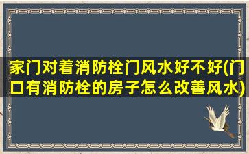 家门对着消防栓门风水好不好(门口有消防栓的房子怎么改善风水)