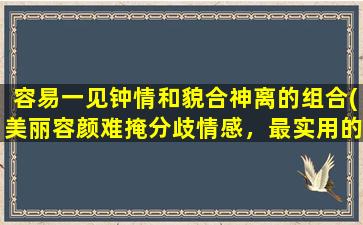 容易一见钟情和貌合神离的组合(美丽容颜难掩分歧情感，最实用的情感处理技巧揭秘)