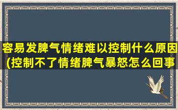 容易发脾气情绪难以控制什么原因(控制不了情绪脾气暴怒怎么回事)