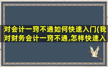 对会计一窍不通如何快速入门(我对财务会计一窍不通,怎样快速入门呢)