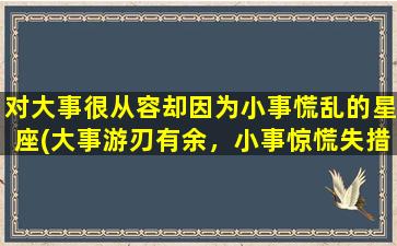 对大事很从容却因为小事慌乱的星座(大事游刃有余，小事惊慌失措，这些星座最易被触动)