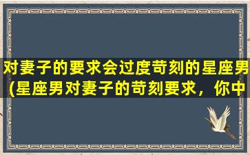 对妻子的要求会过度苛刻的星座男(星座男对妻子的苛刻要求，你中招了吗？)